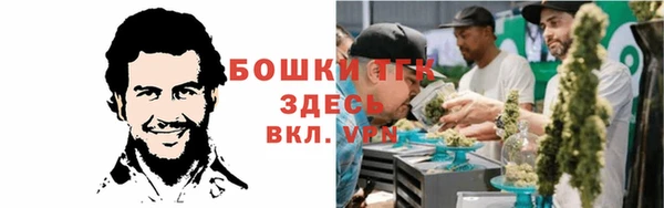 СК Мегион