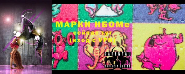 стаф Медногорск