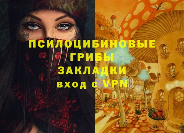 стаф Медногорск