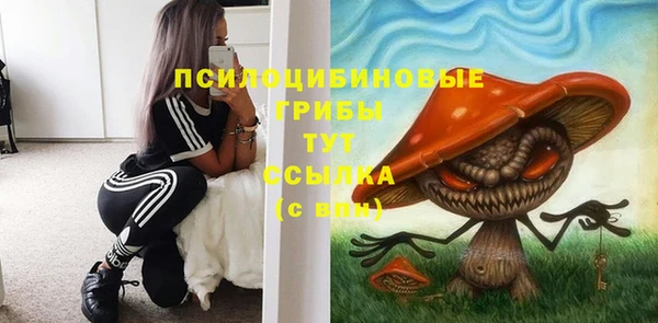 стаф Медногорск