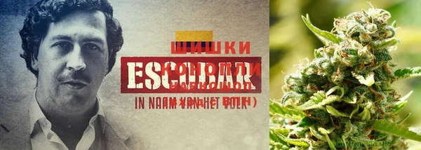 каннабис Магас