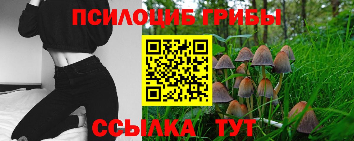 Галлюциногенные грибы прущие грибы  Галлюциногенные грибы MAGIC MUSHROOMS  Южноуральск  Вход с VPN 