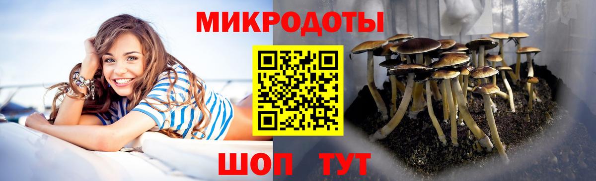 Псилоцибиновые грибы мицелий Южноуральск